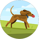 Helen C. profile picture